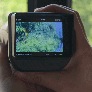 NV308 photo and video capture